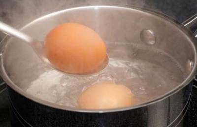 Почему выливать воду, в которой варились яйца — большая ошибка: способы применения - milayaya.ru