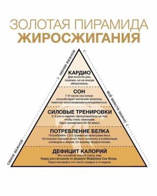 ​Золотая пирамида жиросжигания - polsov.com