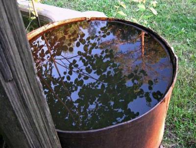 Можно ли поливать огород ржавой водой из бочки? На заметку огородникам - lifehelper.one
