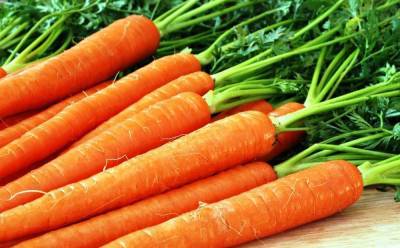 Как сохранить морковь: современные способы хранения - sadogorod.club