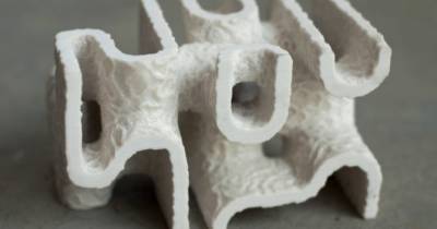 В США создают кораллы на 3D-принтере, чтобы спасти коралловые рифы - womo.ua - Сша - Сан-Франциско