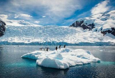 Тест для эрудитов: что вы знаете об Антарктиде? - lifehelper.one - Антарктида
