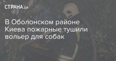 В Оболонском районе Киева пожарные тушили вольер для собак - mur.tv - Украина - Киев - Житомир
