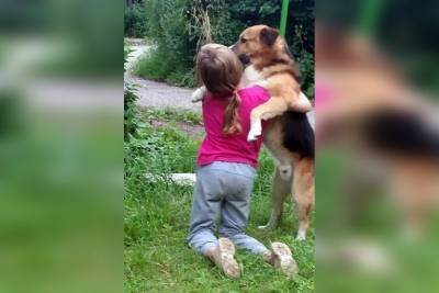 В Тверской области бездомный пес погиб, спасая детей от бойцовской собаки - mur.tv - Тверская обл.