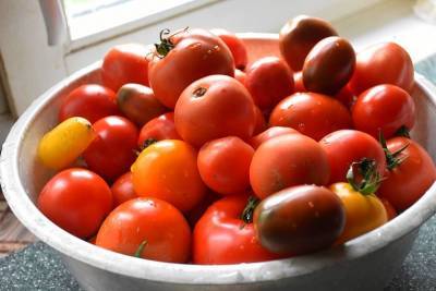 3 способа дозревание снятых помидор, которые сохранят ваш урожай - nashsovetik.ru