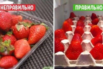 11 хитростей, которые сохранят фрукты и овощи свежими надолго! - lublusebya.ru