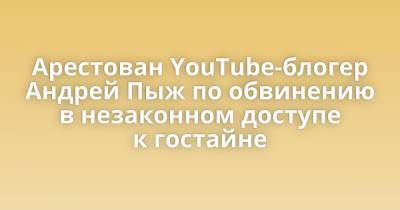 Арестован YouTube-блогер Андрей Пыж по обвинению в незаконном доступе к гостайне - porosenka.net - Москва
