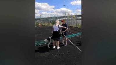 Агрессивная москвичка порезала теннисиста на корте, защищая своих детей и собак - mur.tv