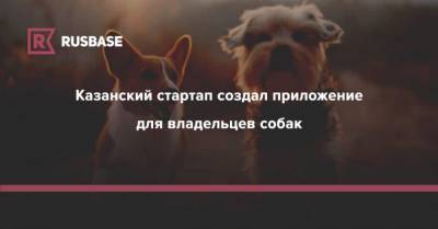 Казанский стартап создал приложение для владельцев собак - mur.tv