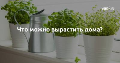 Что можно вырастить дома? - 7days.ru