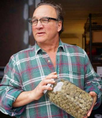 Джеймс Белуши - Актер Джеймс Белуши нашел себе занятие на пенсии и выращивает марихуану в промышленных масштабах - chert-poberi.ru - Россия - Usa - штат Орегон