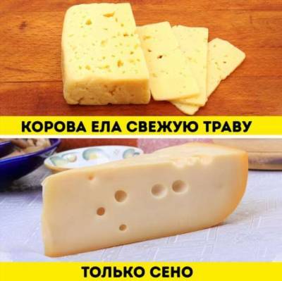 Гид для тех, кто обожает сыр, но совершенно в нем не разбирается - milayaya.ru