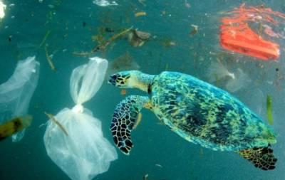 Пугающие цифры: ученые обнаружили 200 миллионов тонн пластика в Атлантическом океане - hochu.ua