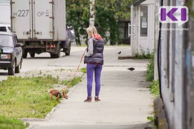 В Сыктывкаре на владельцев собак, не убирающих за своими питомцами, можно заявить в полицию - mur.tv - Сыктывкар