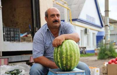 Дельный совет от фермера, как выбрать качественный арбуз и не следовать заблуждениям - milayaya.ru