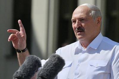 Александр Лукашенко - Лукашенко посоветовал вместо забастовок выращивать кур и коров - mur.tv - Белоруссия