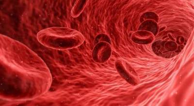 Какие заболевания грозят вам по группе крови? - milayaya.ru - Дания