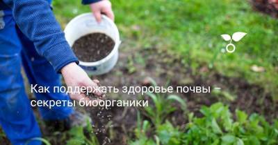 Как поддержать здоровье почвы – секреты биоорганики - sadogorod.club
