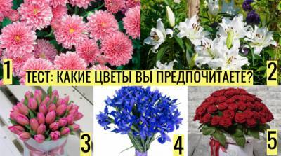 Тест: о чём может рассказать выбранный вами цветок - e-w-e.ru