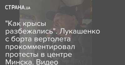 “Как крысы разбежались”. Лукашенко с борта вертолета прокомментировал протесты в центре Минска. Видео - mur.tv - Минск - Белоруссия