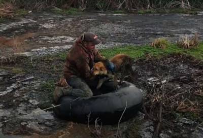 Мужчина спас собаку, застрявшую на болоте (1 фото + 1 видео) - chert-poberi.ru