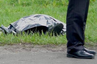 В Засвияжье дама с собакой обнаружила на земле труп мужчины - mur.tv - Ульяновск