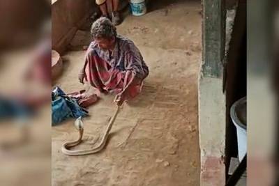 Кобра укусила заклинателя змей и погубила его - mur.tv - Индия - штат Одиша