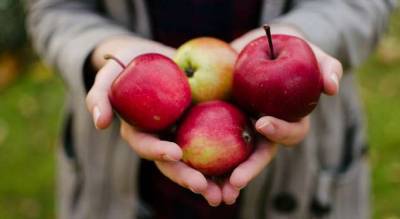 Яблочный Спас: 5 рецептов необычной выпечки из яблок - milayaya.ru - Сша - Нью-Йорк