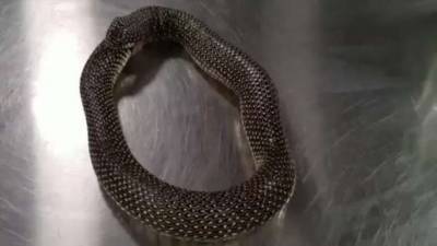 С помощью антисептика можно остановить самопоедание змеи (2 фото + 1 видео) - chert-poberi.ru