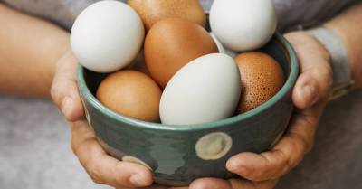 Как проверить свежесть яиц — если они залежались вхолодильнике - lifehelper.one