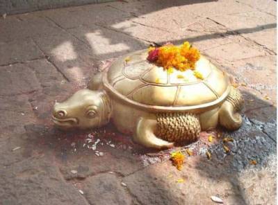 В Индии редкую золотую черепаху считают реинкарнацией бога – Cursorinfo: главные новости Израиля - mur.tv - Индия - Израиль - Непал