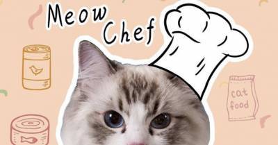 Любопытный кот стал «шеф-поваром» TikTok из-за карантина и превзошел шесть своих братьев - wmj.ru - Сша