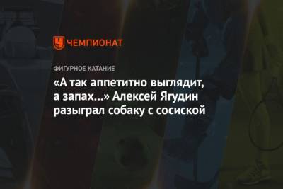 Алексей Ягудин - А так аппетитно выглядит, а запах… Алексей Ягудин разыграл собаку с сосиской - mur.tv - Россия