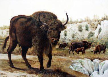 В Башкирии нашли кости степного зубра, шерстистого носорога и дикой лошади - mur.tv - республика Башкирия