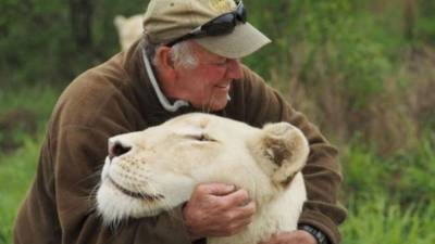 Защитник природы из ЮАР умер после нападения львиц - mur.tv - Юар
