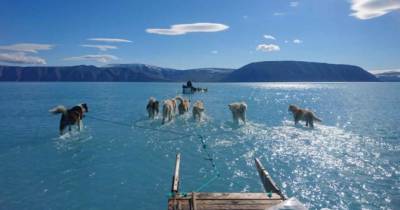 Планета потеряла 28 трлн тонн льда за 30 лет - womo.ua