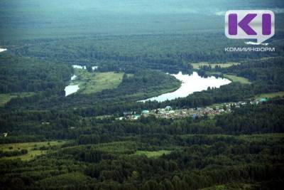 Ухтинцы нашли потерявшегося питомца в лесу, но заблудились сами - mur.tv - республика Коми