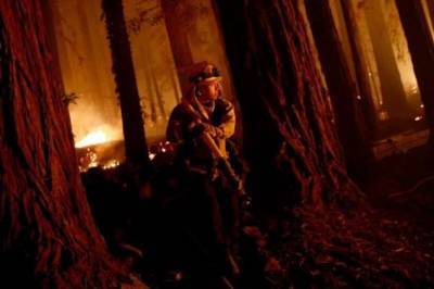 Калифорния как в аду: пожарные зафиксировали более 560 очагов возгорания (1 фото) - chert-poberi.ru - Сша - Канада - Австралия - штат Калифорния