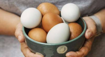 Как проверить свежесть яиц — если они залежались в холодильнике - milayaya.ru