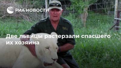 Две львицы растерзали спасшего их хозяина - mur.tv - Москва - Юар
