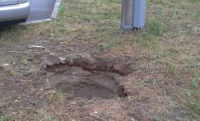 Гомельчанка выгуливала собаку и упала в яму, потребовалась помощь спасателей - mur.tv - Гомель