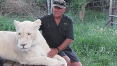 Спасенные львицы убили приютившего их зоозащитника - mur.tv - Юар