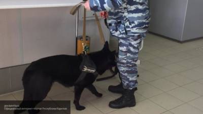 Собака помогла найти грабителя аптеки в Москве - mur.tv - Москва - Новосибирская обл.