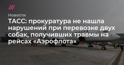 ТАСС: прокуратура не нашла нарушений при перевозке двух собак, получивших травмы на рейсах Аэрофлота - mur.tv - Москва - Симферополь