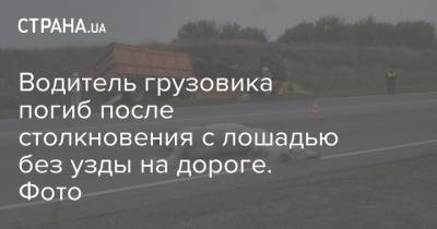 Водитель грузовика погиб после столкновения с лошадью без узды на дороге. Фото - mur.tv - Курская обл.