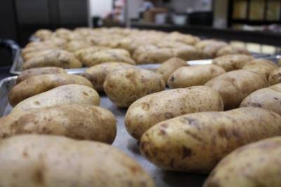 Как правильно заложить картофель на хранение: подготовка, условия и температура - sadogorod.club