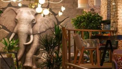 Слон, мартышка, утка попекински: ресторан Chang на Московском проспекте - mur.tv