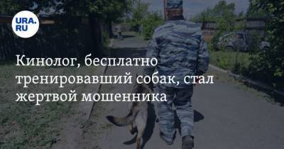 Кинолог, бесплатно тренировавший собак, стал жертвой мошенника - mur.tv - Московская обл.