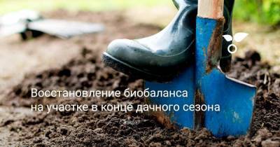 Восстановление биобаланса на участке в конце дачного сезона - sadogorod.club