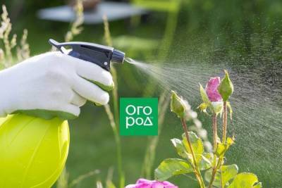 Опрыскивали сад пестицидами и отравились: как понять и что делать - sadogorod.club